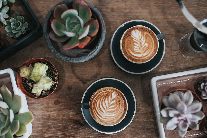 Plants and coffees at the salon